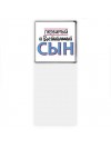 любимый и воспитанный сын