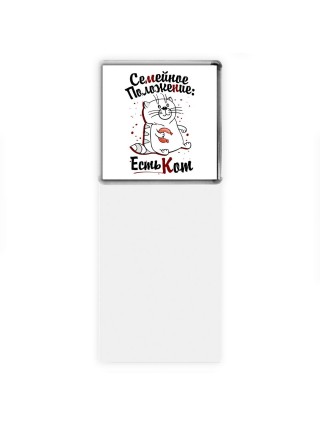 семейное положение -  есть кот