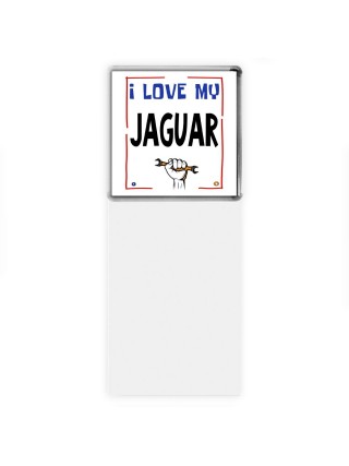 I love my Jaguar