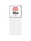 Семейное пололжение - влюблена в Tesla