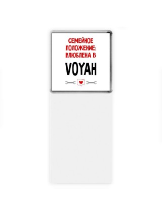 Семейное пололжение - влюблена в Voyah
