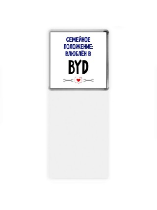 семейной пололжение - влюблен в BYD