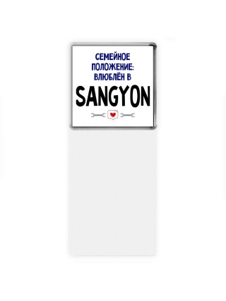 семейной пололжение - влюблен в Ssangyong