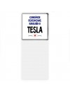 семейной пололжение - влюблен в Tesla