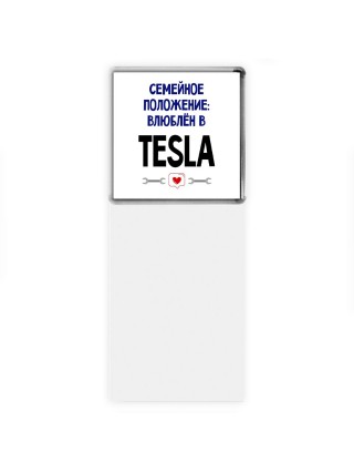 семейной пололжение - влюблен в Tesla