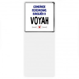 семейной пололжение - влюблен в Voyah