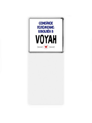 семейной пололжение - влюблен в Voyah