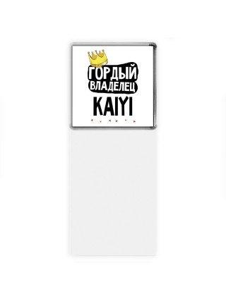 Гордый владелец Kaiyi