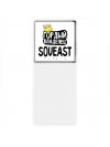 Гордый владелец Soueast