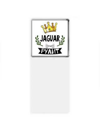 Jaguar рулит