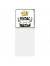 Pontiac рулит