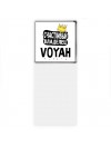 Счастливый владелец Voyah