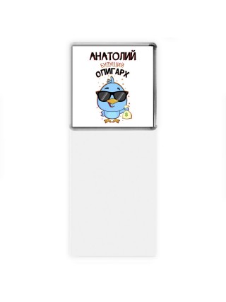 Анатолий будущий олигарх