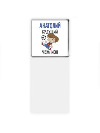 Анатолий будущий чемпион