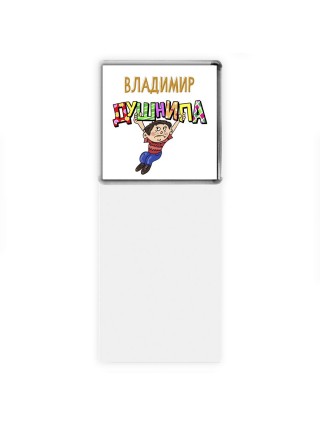 Владимир душнила