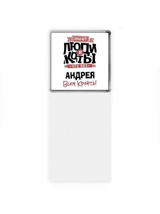 Знают люди и коты, что без Андрея всем кранты
