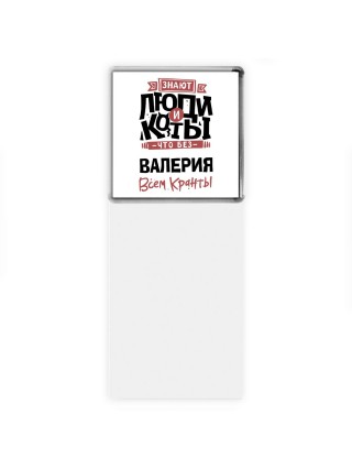 Знают люди и коты, что без Валерия всем кранты
