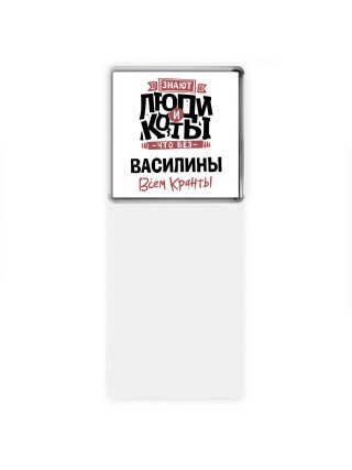 Знают люди и коты, что без Василины всем кранты