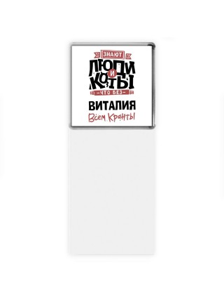 Знают люди и коты, что без Виталия всем кранты