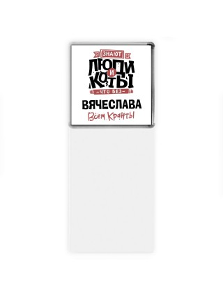 Знают люди и коты, что без Вячеслава всем кранты