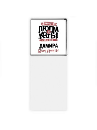 Знают люди и коты, что без Дамира всем кранты