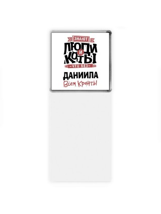 Знают люди и коты, что без Даниила всем кранты