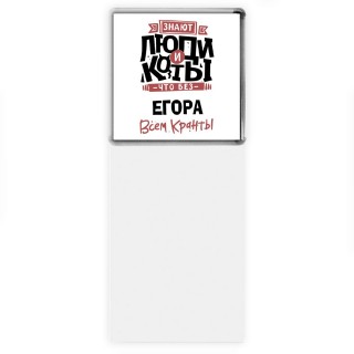 Знают люди и коты, что без Егора всем кранты