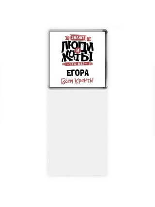 Знают люди и коты, что без Егора всем кранты