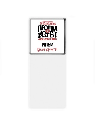 Знают люди и коты, что без Ильи всем кранты