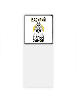 Василий папин сынок