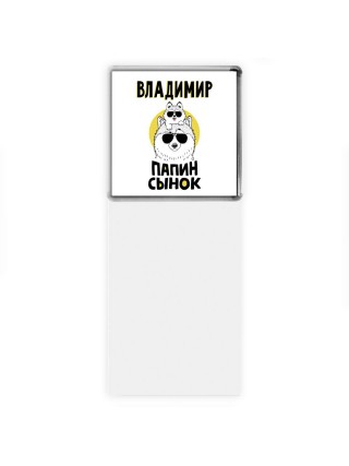 Владимир папин сынок