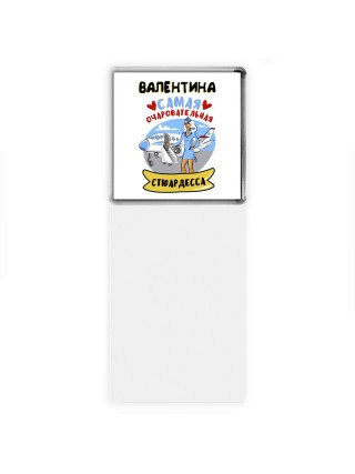 Валентина самая очаровательная стюардесса