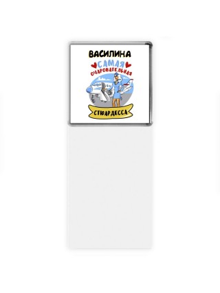 Василина самая очаровательная стюардесса