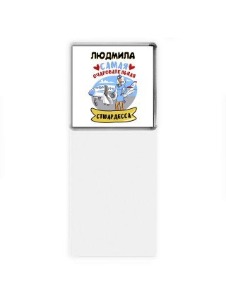 Людмила самая очаровательная стюардесса