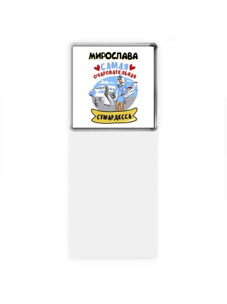 Мирослава самая очаровательная стюардесса