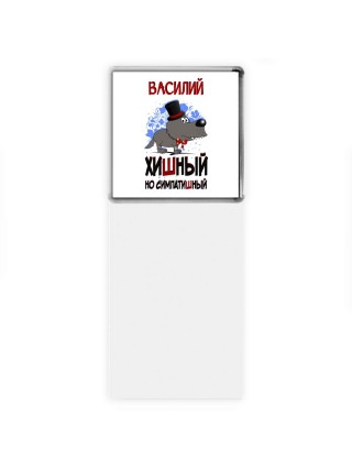 Василий хишный но симпатишный