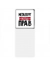 Металлург всегда прав