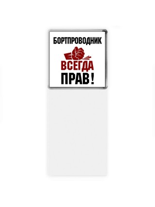бортпроводник всегда прав