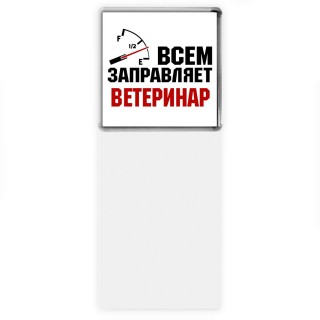 Всем заправляет ветеринар