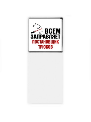 Всем заправляет постановщик трюков
