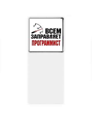 Всем заправляет программист