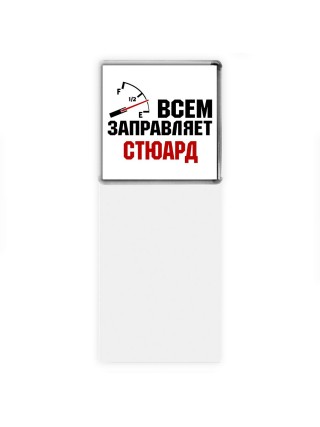 Всем заправляет стюард