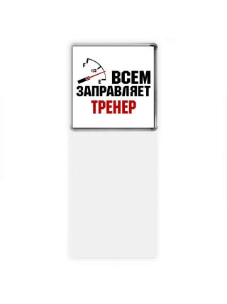 Всем заправляет тренер