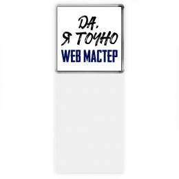 Да, я точно web мастер