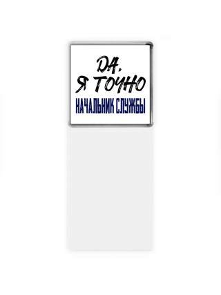 Да, я точно начальник службы