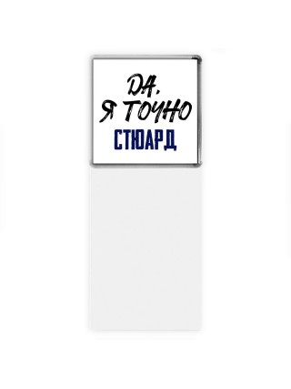 Да, я точно стюард