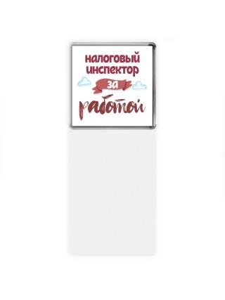 налоговый инспектор за работой