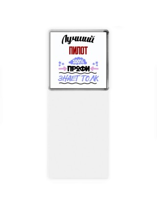 Лучший Пилот 100 процентов профи - знает толк
