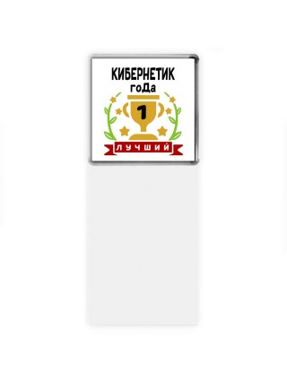 Лучший КИБЕРНЕТИК года