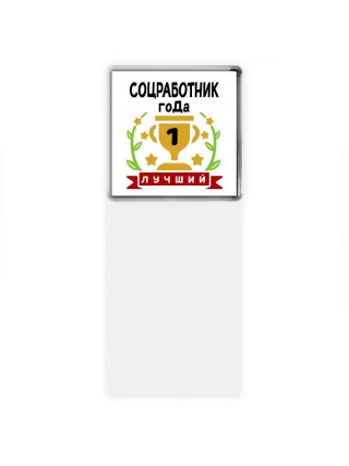 Лучший СОЦРАБОТНИК года